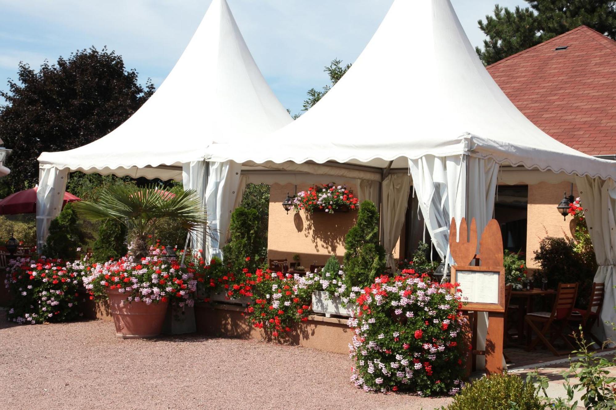 רופאק Hotel Restaurant Au Relais D'Alsace מראה חיצוני תמונה